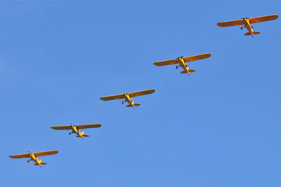 Cub formation